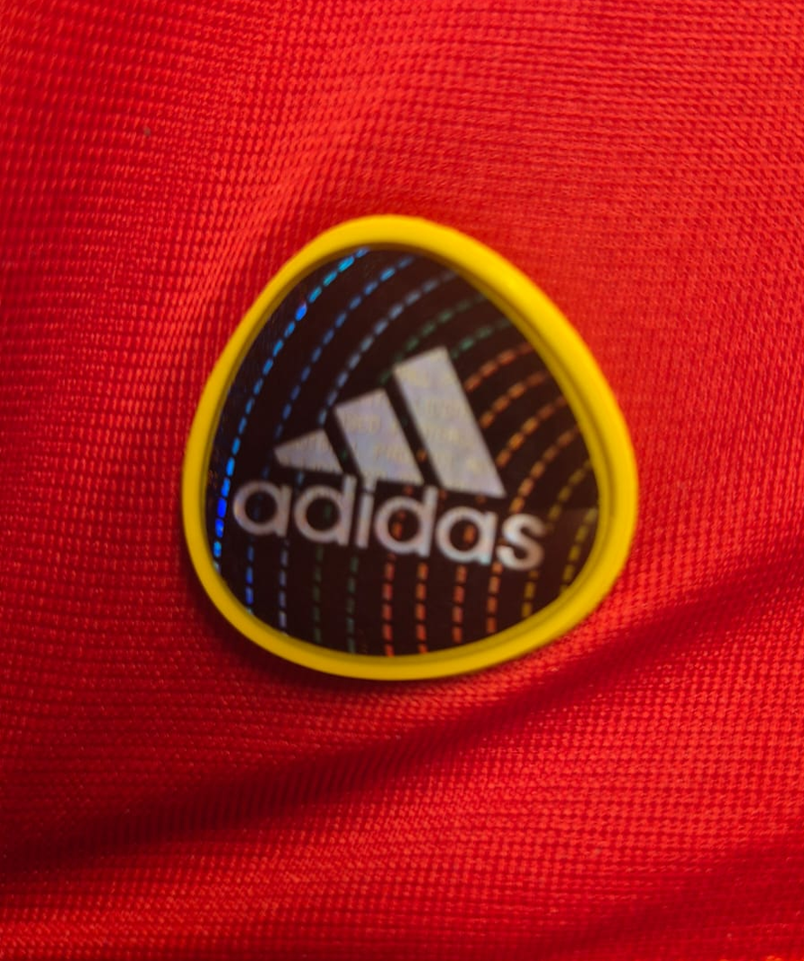 Retro Spanien Heimtrikot 2010